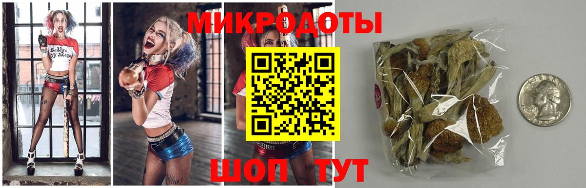 Псилоцибиновые грибы Psilocybe Зеленокумск