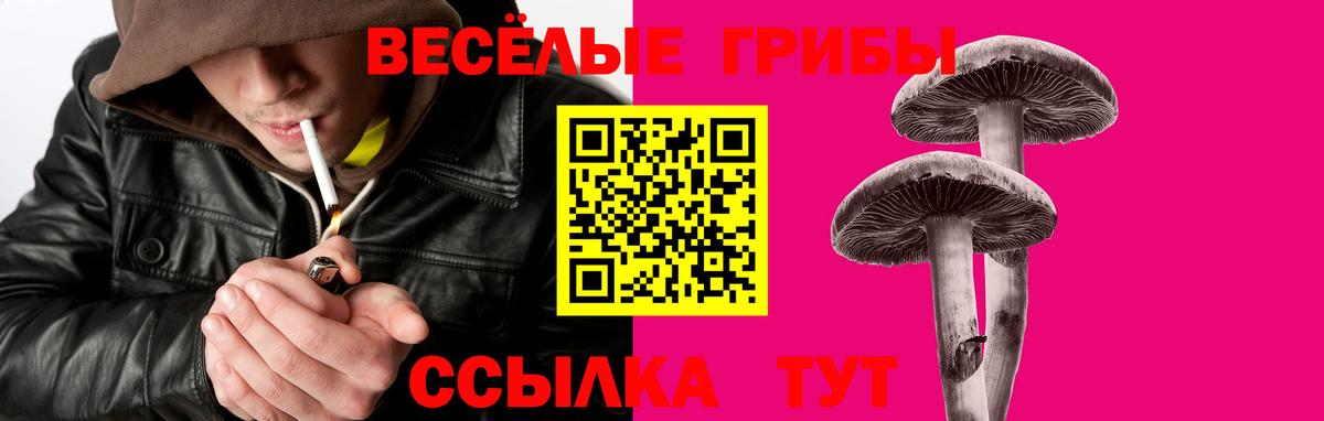 Зеленокумск  Псилоцибиновые грибы MAGIC MUSHROOMS  Вход с VPN 