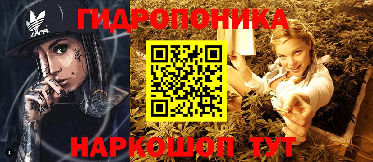 Бошки марихуана AK-47  Вход с VPN  МАРИХУАНА тримм  Зеленокумск  Конопля Bruce Banner 